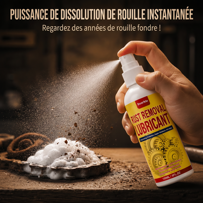 🍉Spray lubrifiant antirouille et désoxydant🍀