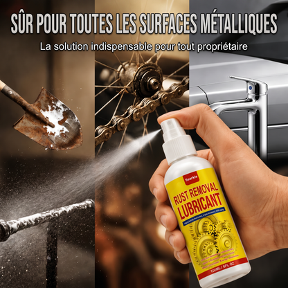 🍉Spray lubrifiant antirouille et désoxydant🍀