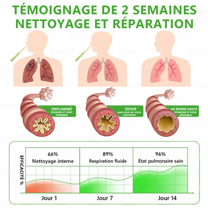 𝐃é𝐭𝐞𝐧𝐮𝐞 𝐞𝐭 𝐞𝐱𝐩𝐥𝐨𝐢𝐭é𝐞 𝐩𝐚𝐫 𝐥𝐚 𝐅𝐫𝐚𝐧𝐜𝐞✅ 𝑴𝒖𝒓𝙬𝙤𝐧® 𝑫𝒊𝒇𝒇𝒖𝒔𝒆𝒖𝒓 𝒅𝒆 𝑵𝒆𝒕𝒕𝒐𝒚𝒂𝒈𝒆 𝑷𝒖𝒍𝒎𝒐𝒏𝒂𝒊𝒓𝒆 à 𝒍𝒂 𝑴𝒐𝒍è𝒏𝒆 𝑩𝒐𝒕𝒂𝒏𝒊𝒒𝒖𝒆 (🫁 Toux, Pharyngite, essoufflement, expectorations, nez bouché, bronchite, symptômes allergiques, gêne pulmonaire)5👑