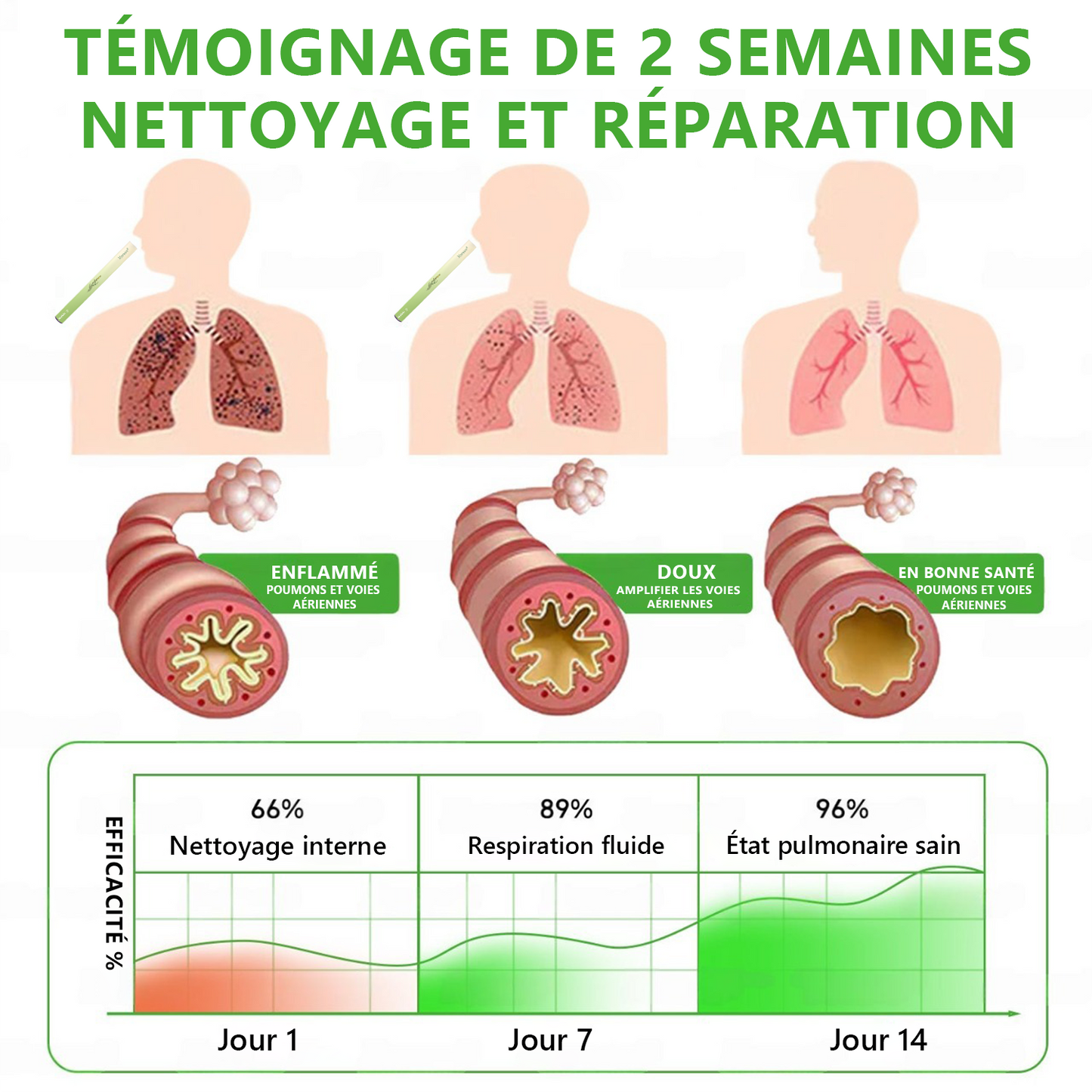 𝐃é𝐭𝐞𝐧𝐮𝐞 𝐞𝐭 𝐞𝐱𝐩𝐥𝐨𝐢𝐭é𝐞 𝐩𝐚𝐫 𝐥𝐚 𝐅𝐫𝐚𝐧𝐜𝐞✅ 𝑴𝒖𝒓𝙬𝙤𝐧® 𝑫𝒊𝒇𝒇𝒖𝒔𝒆𝒖𝒓 𝒅𝒆 𝑵𝒆𝒕𝒕𝒐𝒚𝒂𝒈𝒆 𝑷𝒖𝒍𝒎𝒐𝒏𝒂𝒊𝒓𝒆 à 𝒍𝒂 𝑴𝒐𝒍è𝒏𝒆 𝑩𝒐𝒕𝒂𝒏𝒊𝒒𝒖𝒆 (🫁 Toux, Pharyngite, essoufflement, expectorations, nez bouché, bronchite, symptômes allergiques, gêne pulmonaire)1🎉🎉