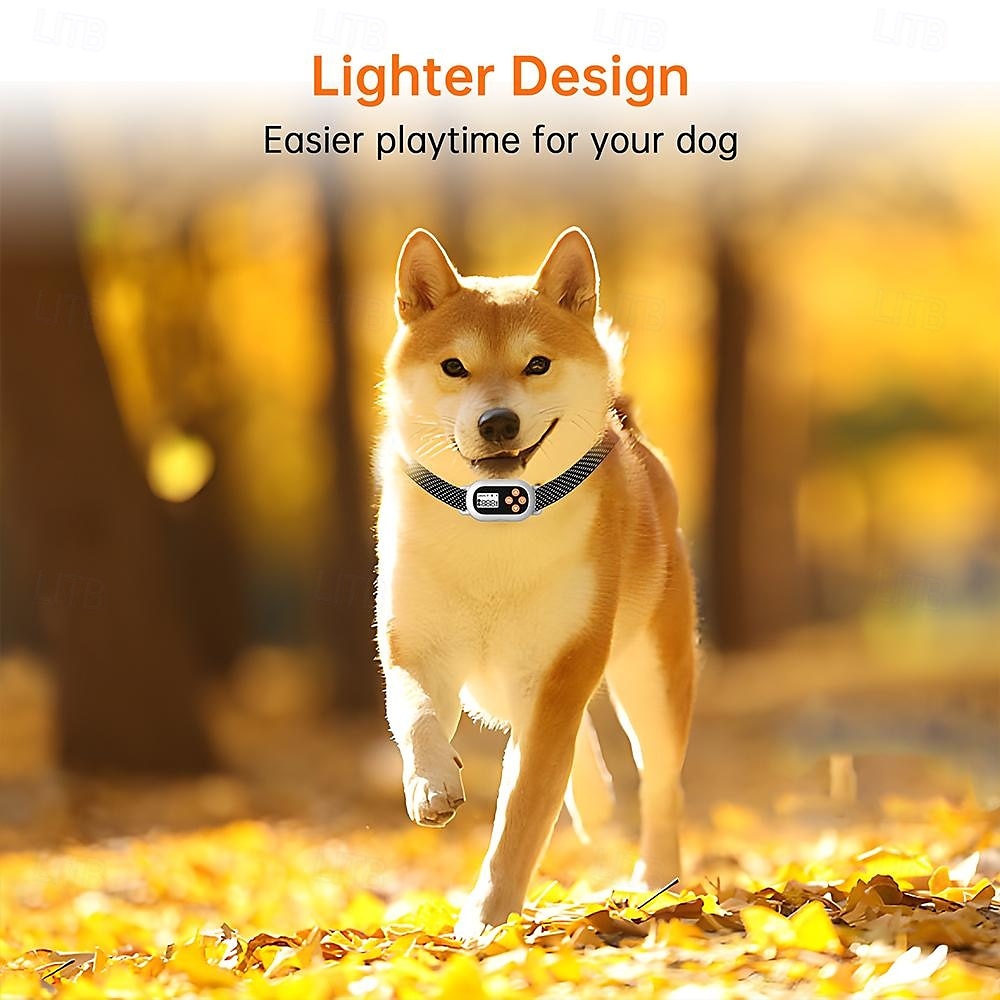 Clôture sans fil pour chien Portable Léger Durable Plastique Noir 1 PC