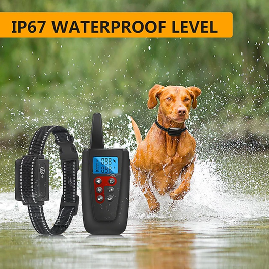 Collier de dressage pour chien sans choc, portée de 3300 pieds, bip vibrant, dresseur pour animaux de compagnie, étanche IPX7, rechargeable, collier de dressage pour animaux de compagnie sans pinces, son et vibration.