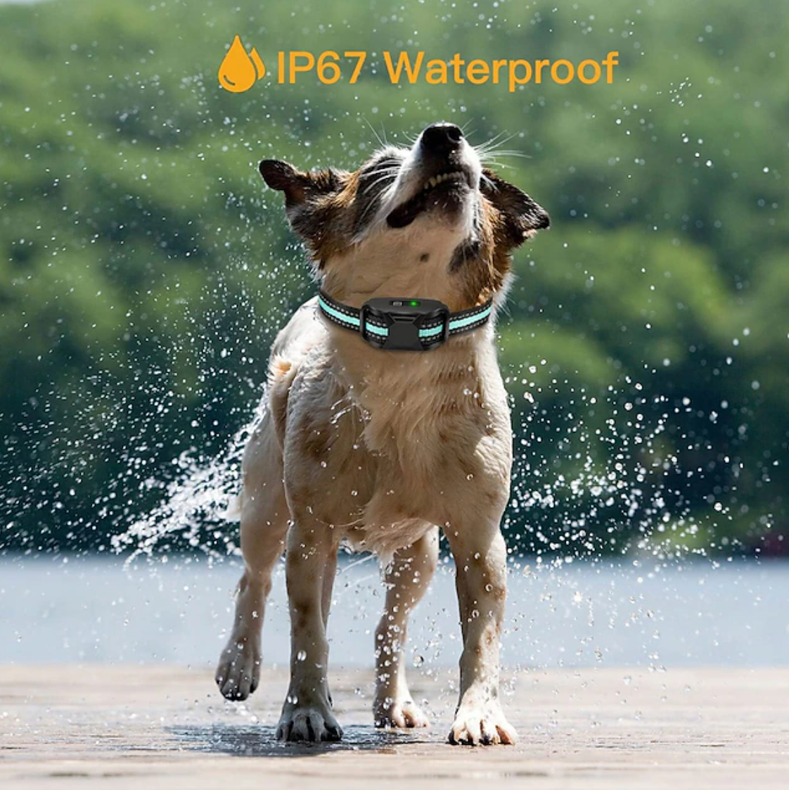Collier de dressage pour chien sans chocs, rechargeable et étanche IPX7 Collier de dressage pour chien à vibrations et bips